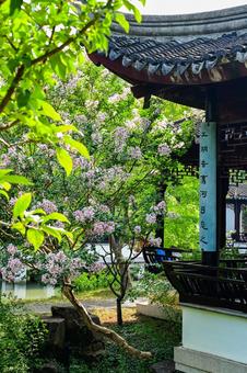 Photo, suzhou, tiger hill, tower, 
