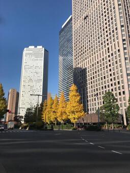 都会の秋 都会の秋の写真