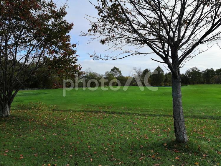 北海道の公園　秋 公園,北海道,秋の写真素材