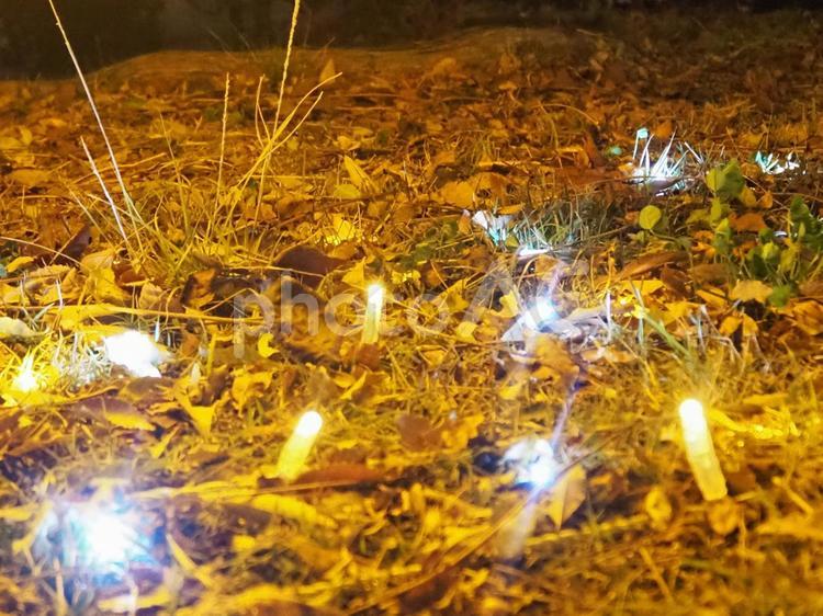イルミネーション イルミネーション,ライト,幻想的の写真素材
