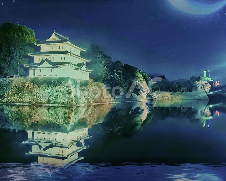 名古屋城の櫓、夜のまどろみ 名古屋城,櫓,夜景の写真素材