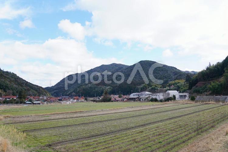 田舎の風景 空,田舎,自然の写真素材