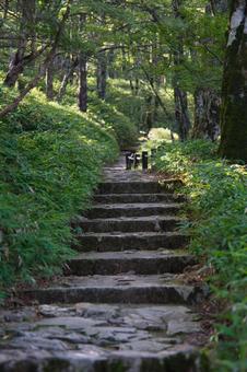 大台ヶ原の風景 大台ヶ原の風景の写真