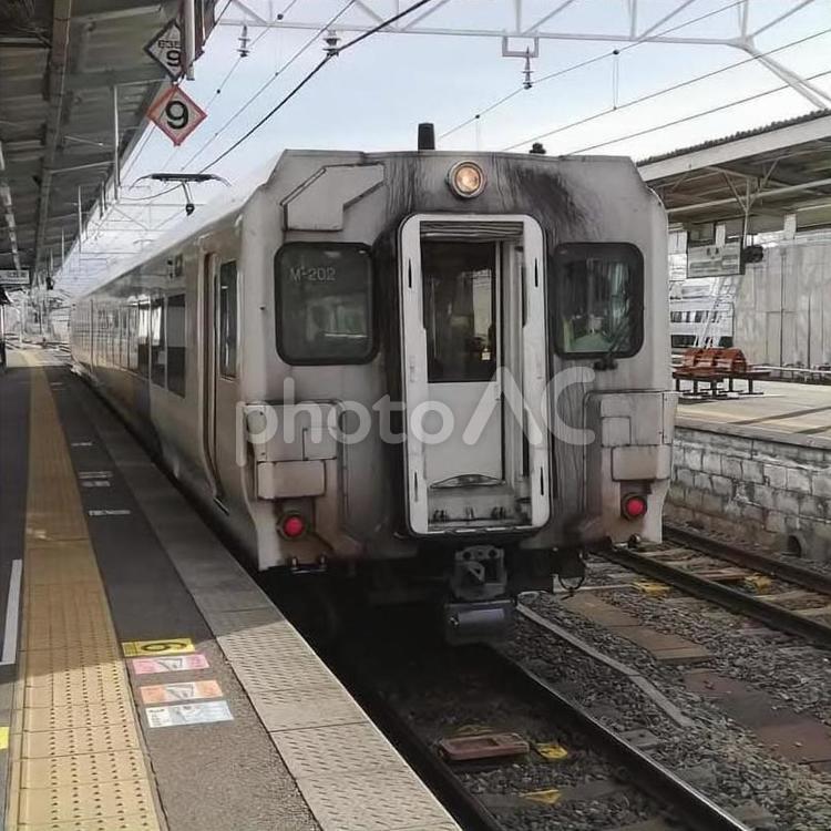 Ｅ２５７系付属編成の顔 鉄道,jr,jr東日本の写真素材