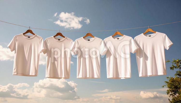 選択された白いTシャツと空 tシャツ,白い,洋服の写真素材