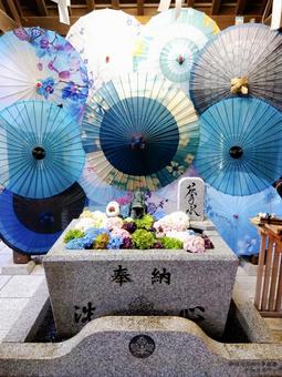 花手水 花手水 花手水,手水舎,花の写真素材