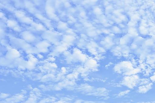 秋の空 秋の空の写真