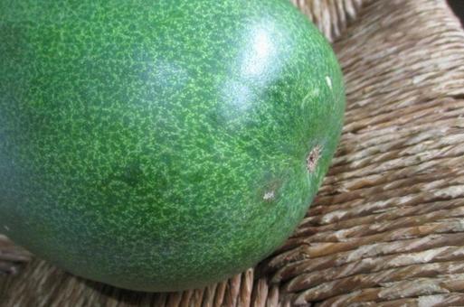 冬瓜 冬瓜,野菜,瓜の写真素材