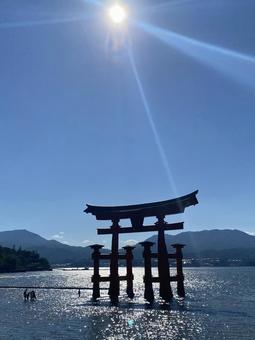 太陽と鳥居 太陽と鳥居の写真