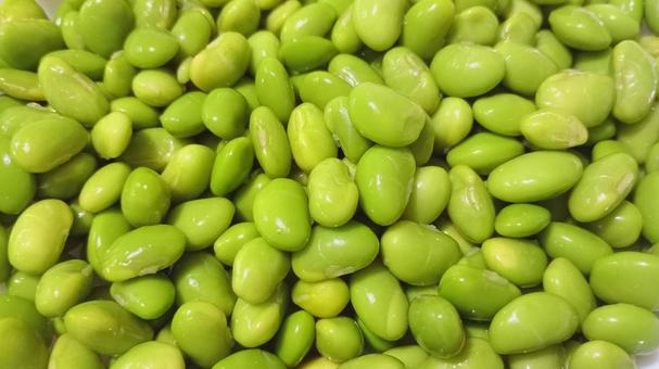 さやを外した茹でられたエダマメ 枝豆,調理,豆の写真素材