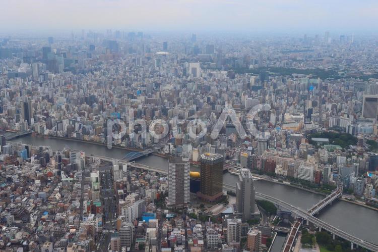 東京の街並みを見下ろす 東京,街並み,スカイツリーの写真素材
