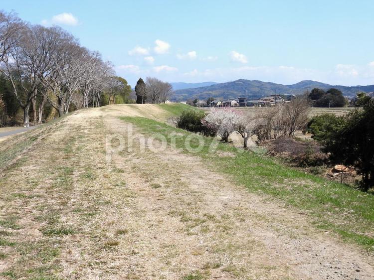 田舎の風景 田舎,あぜ道,土手の写真素材