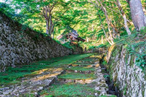 百済寺 百済寺 百済寺,寺,滋賀の写真素材
