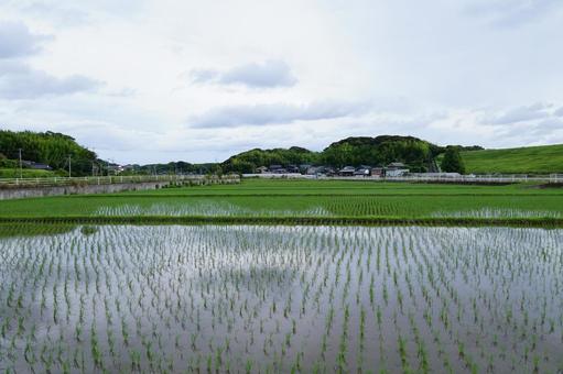 田舎の風景 田舎の風景の写真