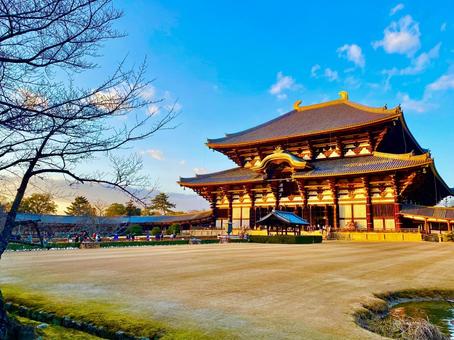 東大寺大仏殿 東大寺大仏殿 奈良,東大寺,境内の写真素材
