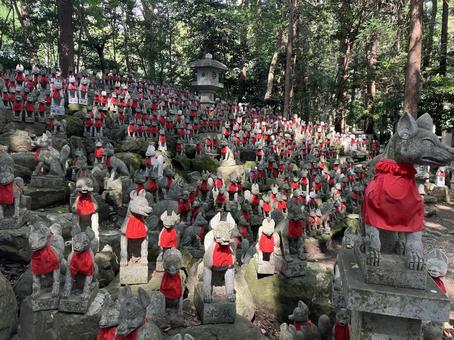 豊川稲荷 豊川稲荷 豊川稲荷,愛知,神社の写真素材