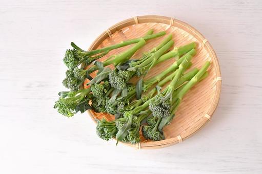 スティックセニョール スティックセニョール スティックセニョール,茎ブロッコリー,野菜の写真素材