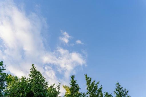 秋の青空と白い雲 空,青空,晴れの写真素材