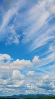 爽やかな夏の空 爽やかな夏の空 夏空,青空,空の写真素材