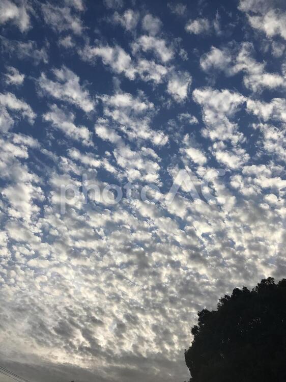 秋　夕焼け 空,自然,何人もありませんの写真素材