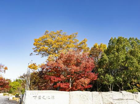 万葉文化館を彩る秋の紅葉と黄葉 万葉文化館,明日香村,奈良の写真素材