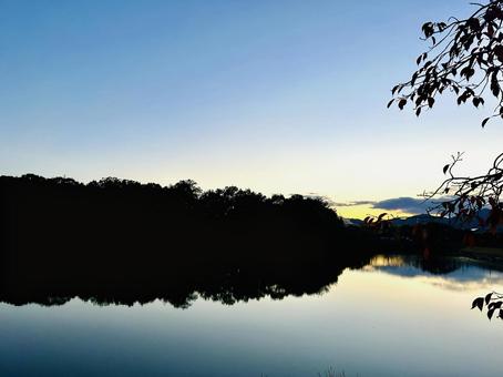 夕方の池のほとり 風景,池,公園の写真素材