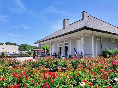 ヴェルニー公園のティボディエ邸と赤い薔薇 ヴェルニー公園のティボディエ邸と赤い薔薇 ヴェルニー公園,ティボディエ邸,よこすか近代遺産ミュージアムの写真素材