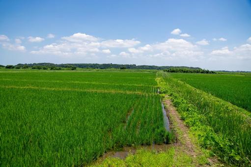 田園風景 田園風景 田園風景,田舎,田舎暮らしの写真素材
