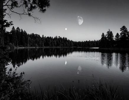モノクロの月を背にした静寂な水辺02 モノクロの月を背にした静寂な水辺02の写真