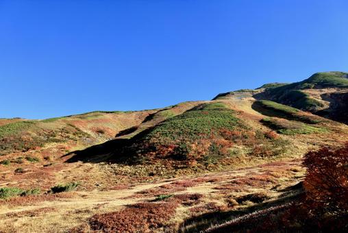 10年ぶりの紅葉当たり年 10年ぶりの紅葉当たり年 立山,室堂,紅葉の写真素材