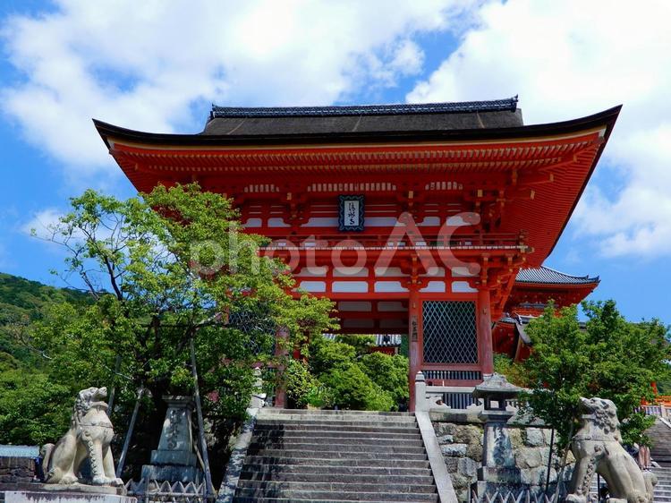清水寺　仁王門 清水寺,仁王門,京都の写真素材