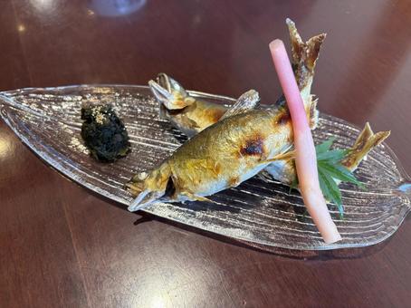 鮎の塩焼き 鮎の塩焼き 鮎,焼き魚,塩焼きの写真素材