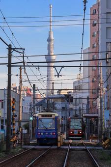 都電荒川線と東京スカイツリー 路面電車,都電,都電荒川線の写真素材