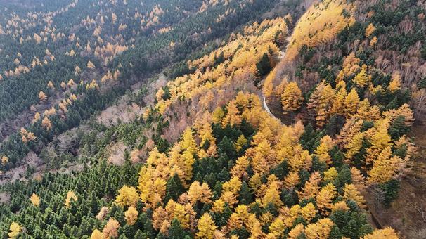 山紅葉001 山,紅葉,山紅葉の写真素材