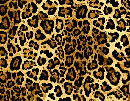 ヒョウ柄の光沢毛皮の写真