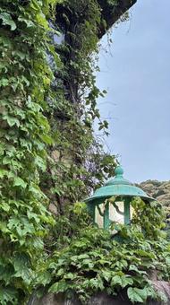 愛知県春日井市城嶺橋 自然,ライト,灯の写真素材