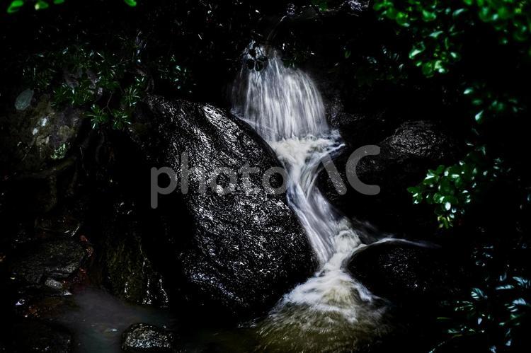 ＜五島の風景＞香珠子海水浴場の森の小川 小川,川,沢の写真素材