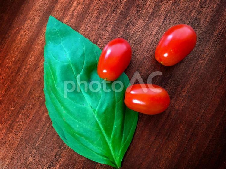 イタリアンパスタの定番食材の生バジルとトマトのオシャレなイメージ バジル,トマト,イタリアンの写真素材