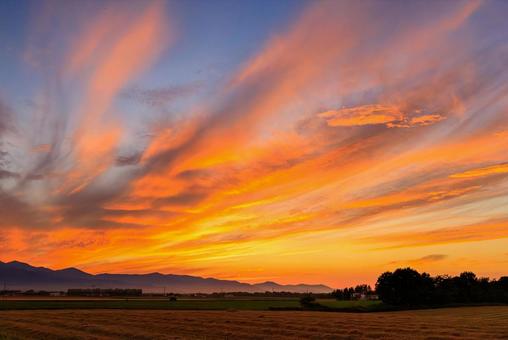 夕焼け 夕焼け 夕焼け,十勝,畑の写真素材