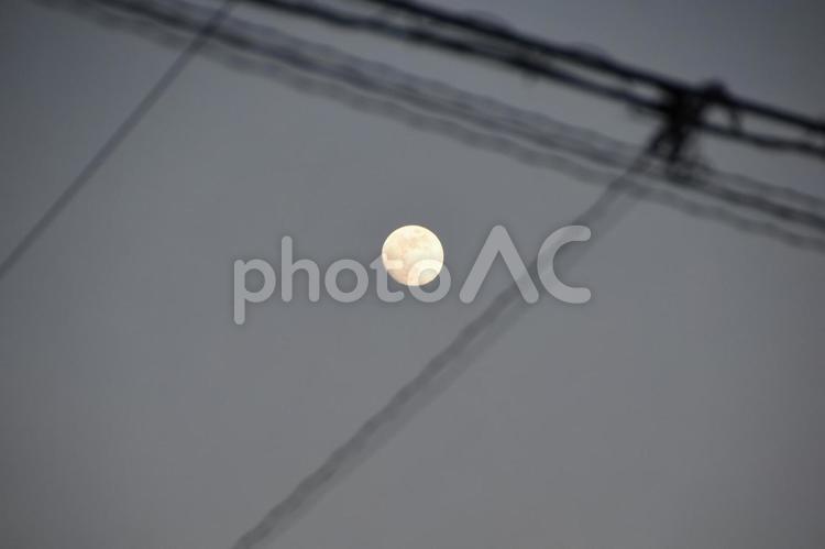 電線の向こうに登った満月前の月 電線,電柱,月の写真素材