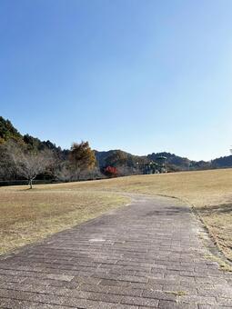 公園の遊歩道と雲のない青空 公園,遊歩道,歩道の写真素材