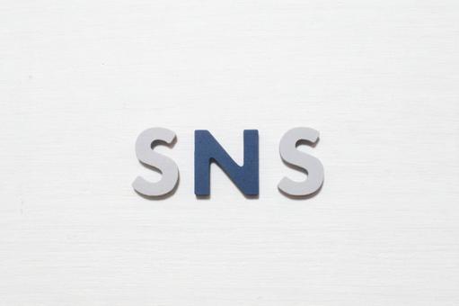 SNSの文字とホワイトバック SNSの文字とホワイトバック ソーシャルネットワーキングサー,ネット,ブログの写真素材
