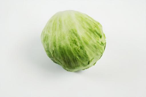 新鮮なレタスの一玉 新鮮なレタスの一玉の写真
