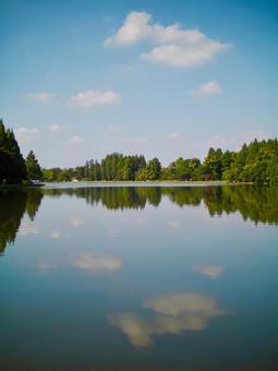水元公園 水元公園の写真