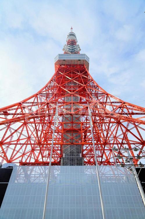 東京タワーを真下から 東京タワー,タワー,港区の写真素材