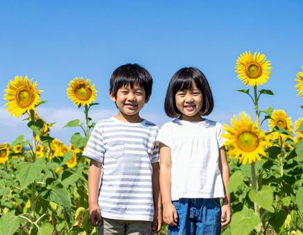 ひまわり畑と子供と青空 ひまわり畑と子供と青空の写真