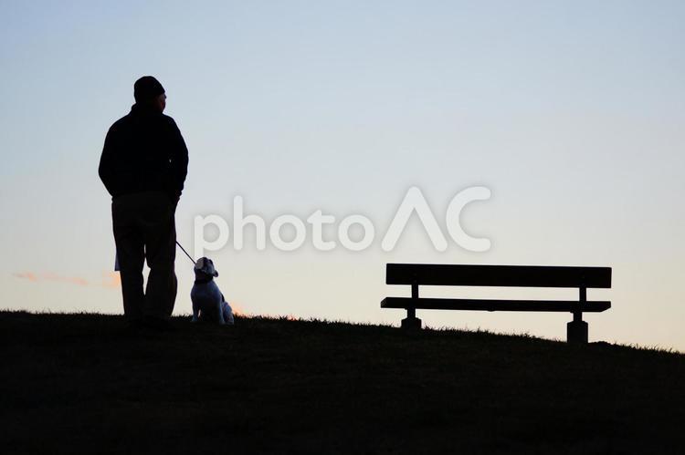 夕暮れの丘に立つ男性と犬 夕暮れ,丘,犬の写真素材