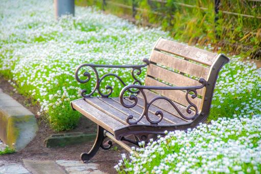 誰か座って 誰か座っての写真