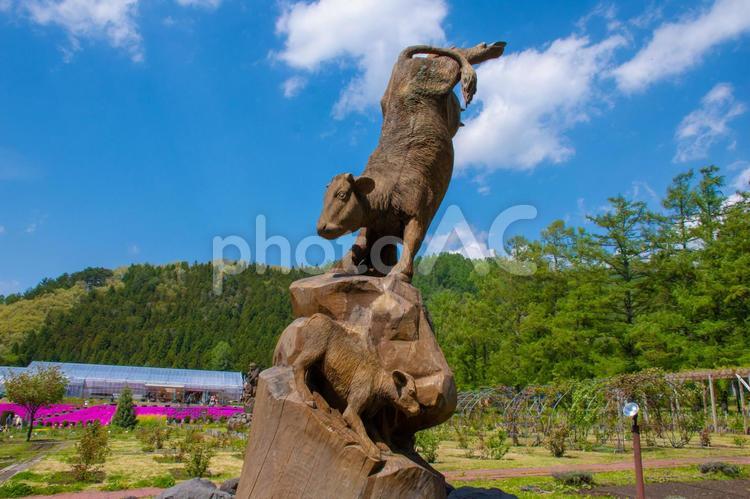 巨木彫刻　干支　丑 猪苗代ハーブ園,干支,巨木彫刻の写真素材