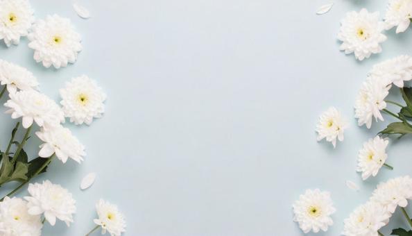 可憐な白い花、バックグラウンド 可憐な白い花、バックグラウンドの写真